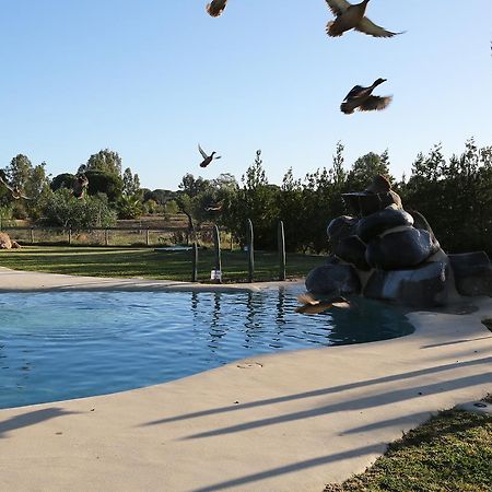 Ardea Purpurea Hotell Villamanrique De La Condesa Eksteriør bilde