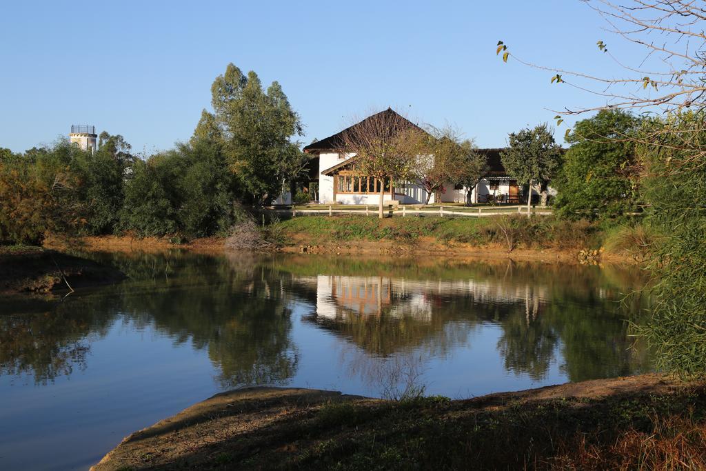 Ardea Purpurea Hotell Villamanrique De La Condesa Eksteriør bilde