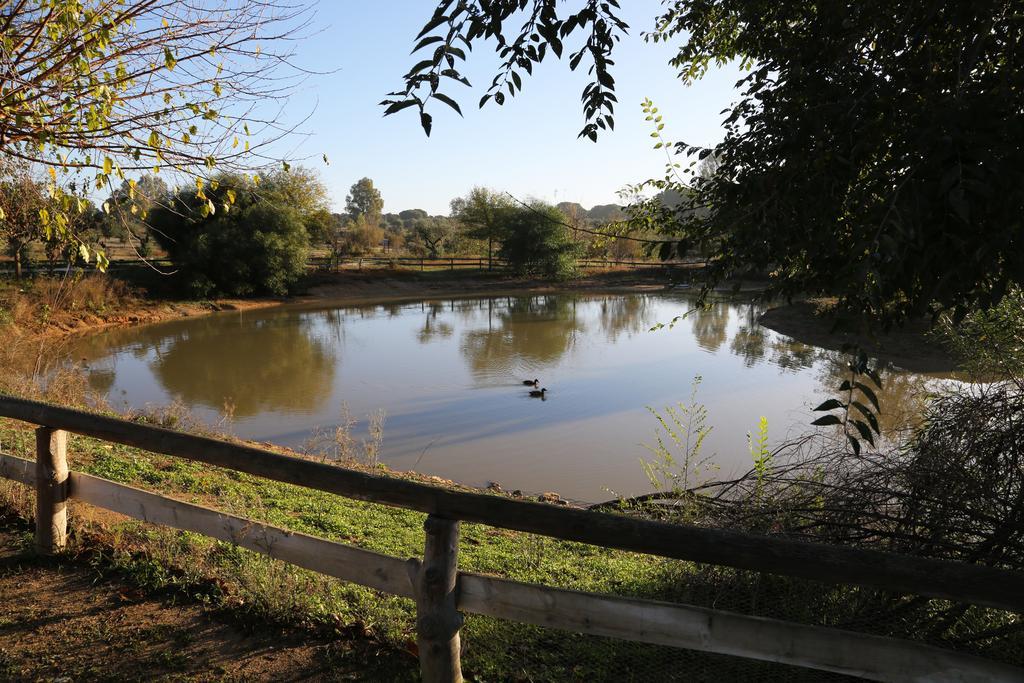 Ardea Purpurea Hotell Villamanrique De La Condesa Eksteriør bilde