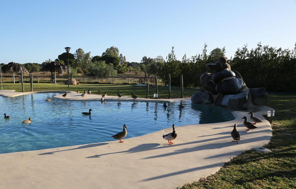 Ardea Purpurea Hotell Villamanrique De La Condesa Eksteriør bilde