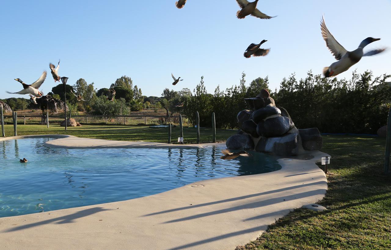 Ardea Purpurea Hotell Villamanrique De La Condesa Eksteriør bilde